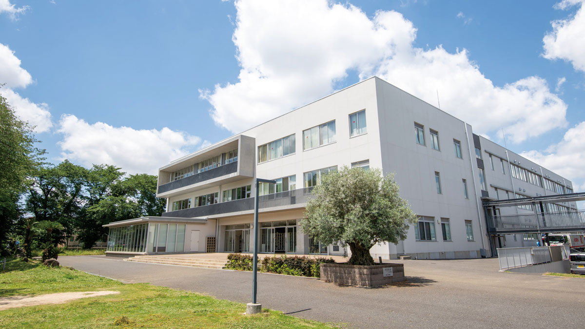 日本体育大学柏